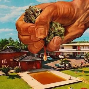 Meet your Posher, Dakota